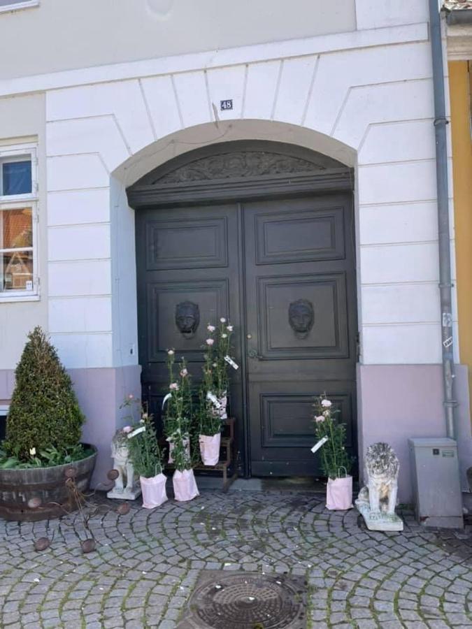 Apothekergaarden Stege Stuen Mod Gardhaven Acomodação com café da manhã Exterior foto